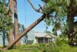 Hurrikan Ratgeber von Florida365